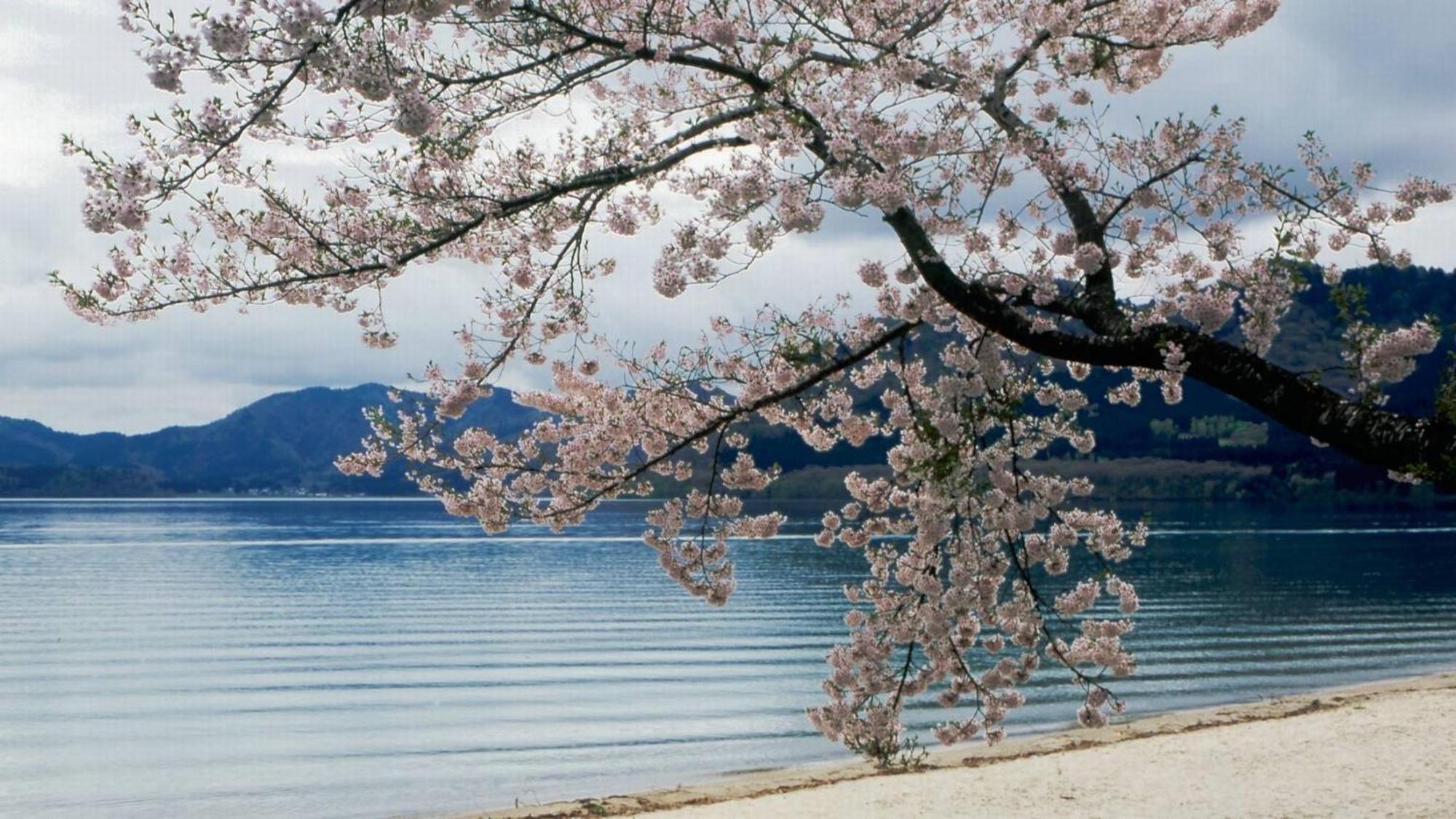 Kashintei Shirahama Semboku Exterior foto